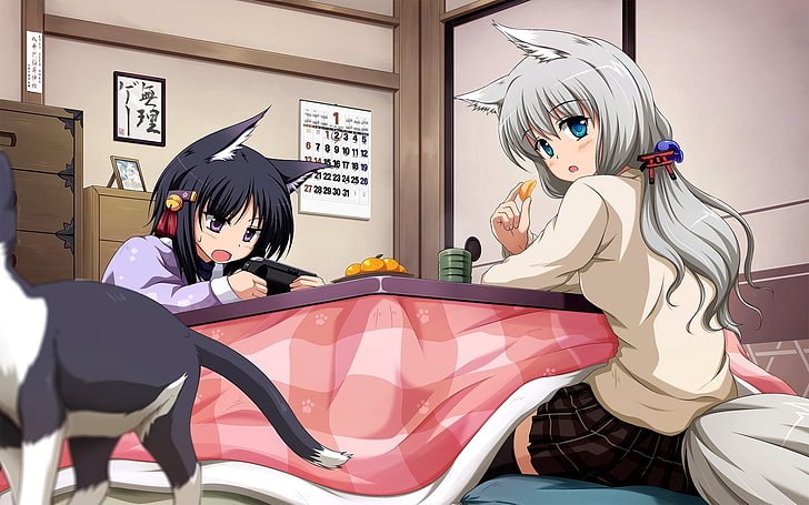 gray-haired female anime character illustration, neko, nekomimi, girl, cat, room, HD wallpaper