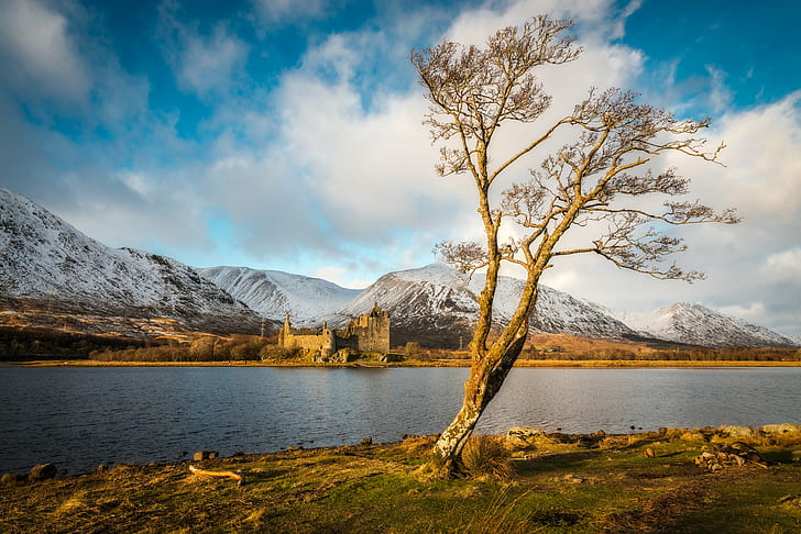 bare tree near pond at daytime, Castle, tree, bare, pond, daytime, snow, scotland, hills, mountains, water, loch, lake, winter, cold, sky  blue, clouds, light, nikon D800E, Awe, nature, landscape, Britain, f/3.5, 6G, VR, mountain, scenics, outdoors, autumn, reflection, sky, beauty In Nature, travel, mountain Range, summer, blue, HD wallpaper