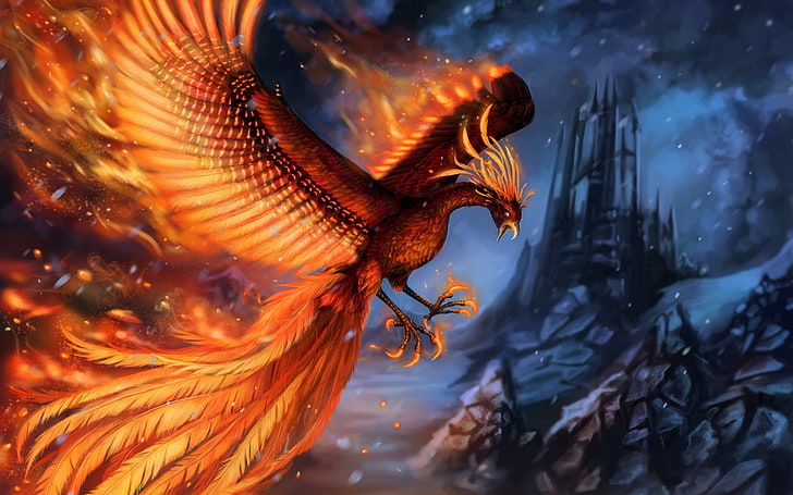 Fantasy Animals, Phoenix, Bird, Fantasy, Feather, Fire, HD wallpaper