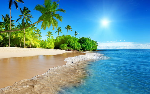 Тропический рай солнце, побережье, тропический, рай, солнце, пляж, побережье, море, небо, синий, изумруд, океан, пальма, лето, песок, отпуск, HD обои HD wallpaper