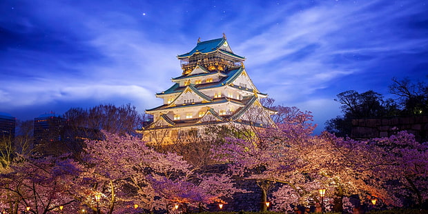 castillo, belleza, Japón, iluminación, Castillo Himeji en Osaka, Fondo de pantalla HD HD wallpaper