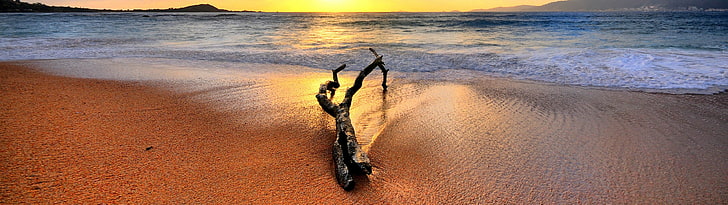 brown driftwood, nature, landscape, multiple display, beach, sea, HD wallpaper