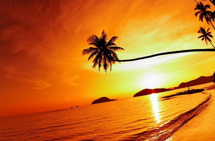 palma i wybrzeże, morze, plaża, niebo, słońce, chmury, krajobraz, natura, palmy, brzeg, ocean, Tajlandia, niebo, światło słoneczne, ocean, palmy, płacząca palma, wyspa Mac, wyspa Mak, tropikalna plaża zachód słońca, płacząca palma, zachód słońca na tropikalnej plaży, Tapety HD