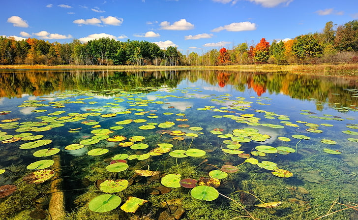 Красива езерна природа, есен, водоем, природа, езера, красива, есен, езеро, пейзаж, HD тапет