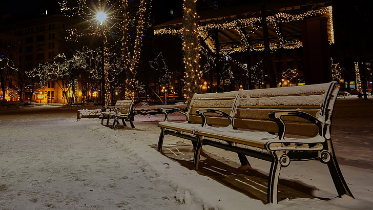 winter, snow, bench, park, tree, chrismas lights, christmas season, night, christmas, lighting, evening, HD wallpaper