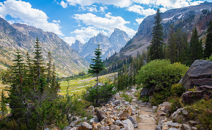 Pino verde y montaña, naturaleza, paisaje, montañas, Lake Solitude, Wyoming, Estados Unidos, árboles, Fondo de pantalla HD