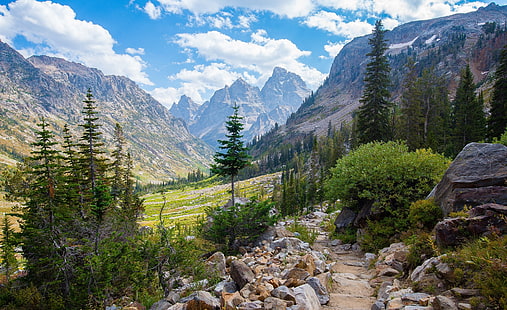 zielona sosna i góra, przyroda, krajobraz, góry, Lake Solitude, Wyoming, USA, drzewa, Tapety HD HD wallpaper