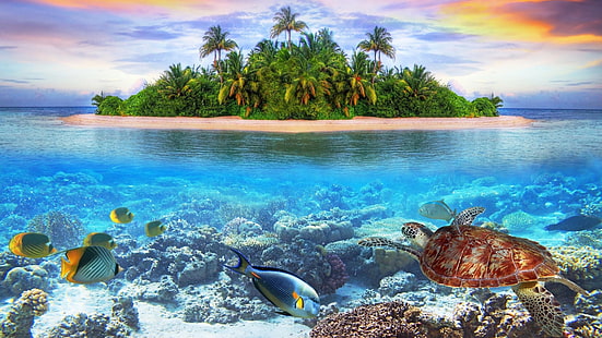 природа, остров, под вода, костенурка, риба, море, морска биология, Карибите, коралов риф, тропици, риф, океан, морска костенурка, ваканция, лагуна, вода, HD тапет HD wallpaper