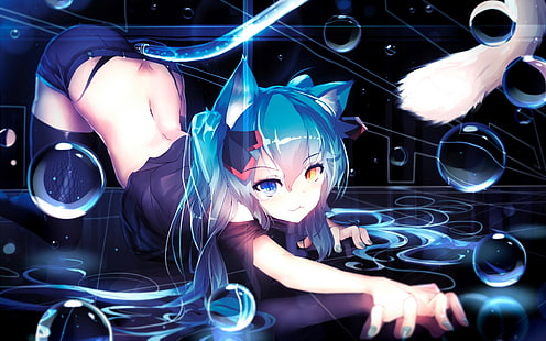 blue-haired female illustration, anime, Vocaloid, heterochromia, animal ears, nekomimi, HD wallpaper HD wallpaper