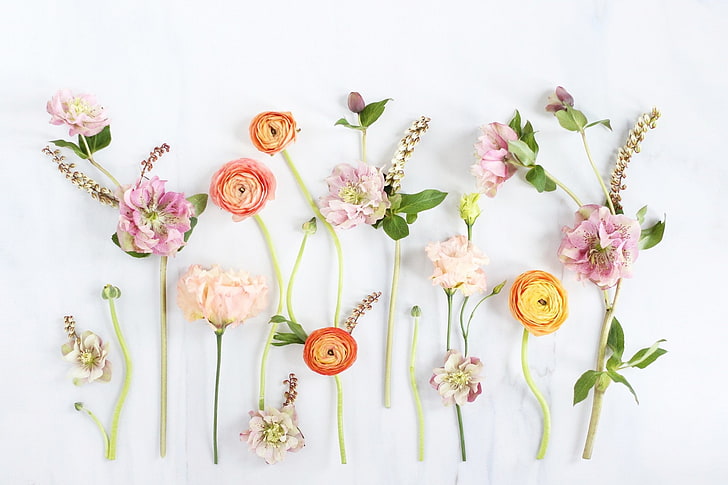 Flowers, Flower, Artistic, Colors, Pastel, Spring, HD wallpaper