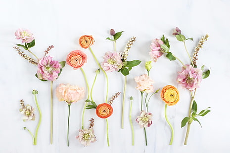 Kwiaty, Kwiatki, Artystyczne, Kolory, Pastele, Wiosna, Tapety HD HD wallpaper