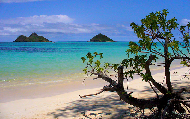 하와이 카일루아의 라니 카이 비치, HD 배경 화면