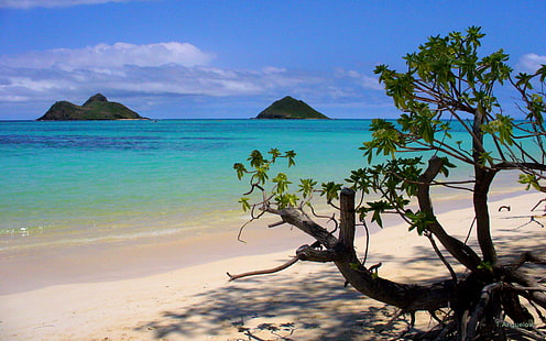 Lanikai Beach à Kailua, Hawaï, Fond d'écran HD HD wallpaper