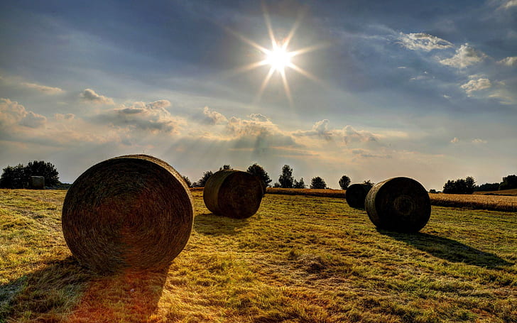 Hay bale field, green grass field, nature, 2880x1800, cloud, field, hay bale, HD wallpaper