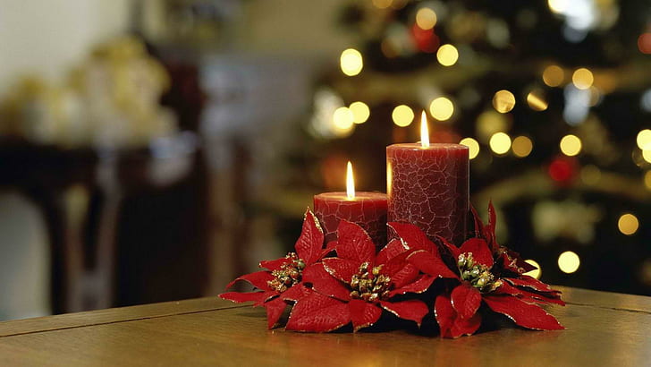Red flowers next to candles, red poinsettias accent 2 pillar candles, holidays, 1920x1080, christmas, merry christmas, candle, HD wallpaper