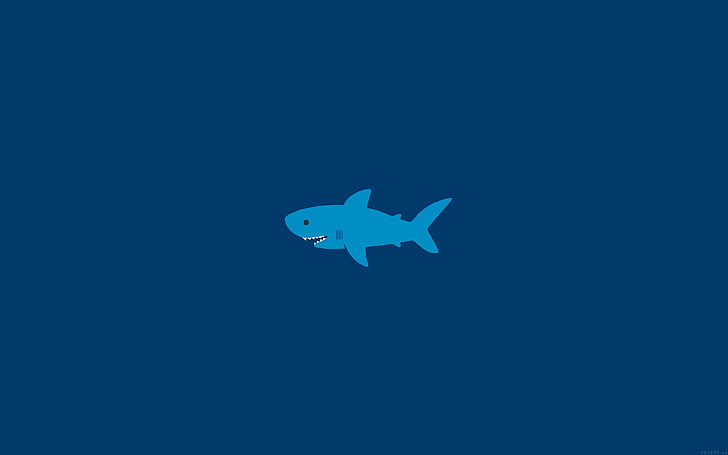 little, small, cute, shark, minimal, HD wallpaper