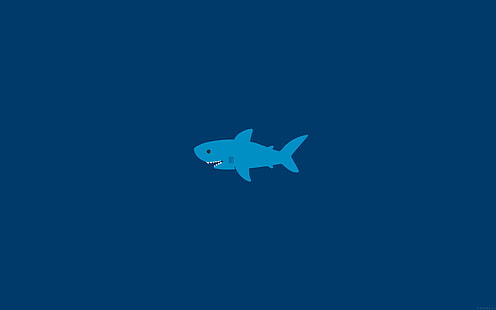 piccolo, piccolo, carino, squalo, minimo, Sfondo HD HD wallpaper