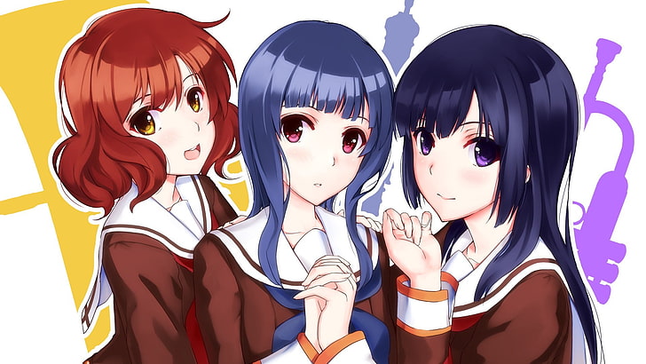 anime, Anime Girls, Hibike! Euphonium, Kousaka Reina, Oumae Kumiko, School Uniform, Yoroizuka Mizore, HD wallpaper