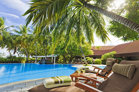 الأشجار ، أشجار النخيل ، حمام السباحة ، جزر المالديف ، الفندق ، الطاولة ، كراسي التشمس ، الخارج، خلفية HD HD wallpaper