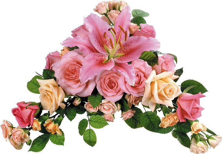 pink and beige rose flower arrangement, roses, lilies, carnations, composition, greens, HD wallpaper