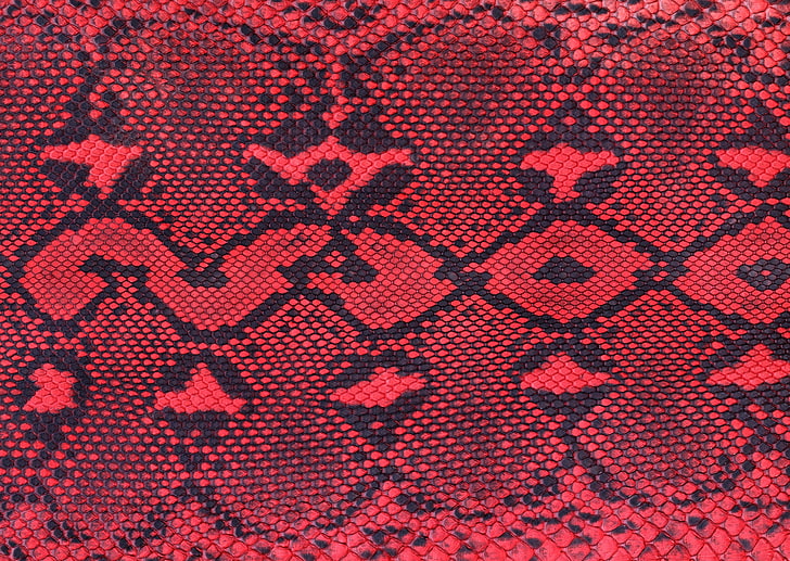 rotes und schwarzes Schlangenleder, Leder, Spitze, Oberfläche, HD-Hintergrundbild