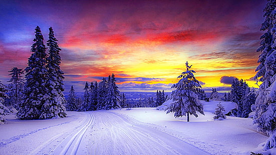 solnedgång, fält, snö, träd, tallar, vinter, skog, HD tapet HD wallpaper