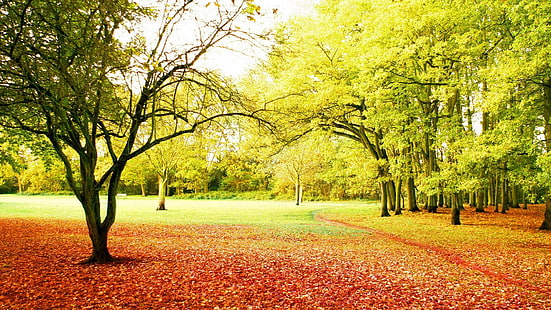 for desktop nature scenes beautiful scenery 1920x1080, HD wallpaper HD wallpaper