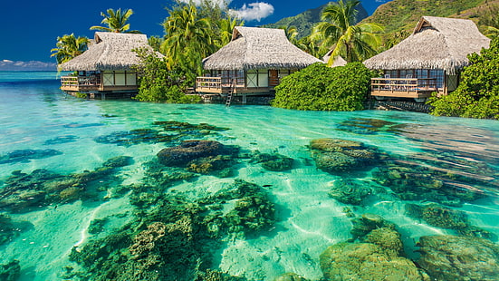 แหล่งน้ำและต้นไม้ใบสีเขียวกระท่อมสีน้ำตาลสามใบมีน้ำทะเลใสชายหาดเกาะธรรมชาติภูมิทัศน์, วอลล์เปเปอร์ HD HD wallpaper