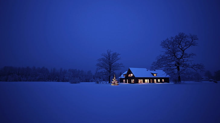 сива къща, снимка на каюта насред заснежено поле през нощта, сняг, къща, дървета, нощ, пейзаж, светлини, зима, Коледа, HD тапет