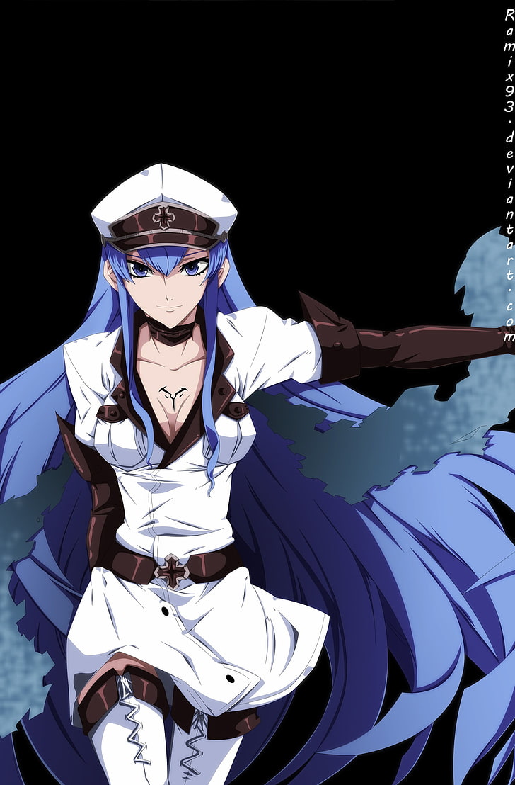 شخصية أنمي امرأة ذات شعر أزرق ، Akame ga Kill !، Esdeath، خلفية HD، خلفية الهاتف