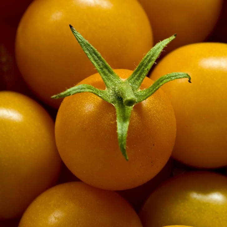 Orange Tomaten, Sonne, Gold, Orange, Tomaten, Kirsche, Lebensmittel, Tomate, Frische, Obst, Bio, Gesundes Essen, reif, rot, Gemüse, Natur, Nahaufnahme, HD-Hintergrundbild
