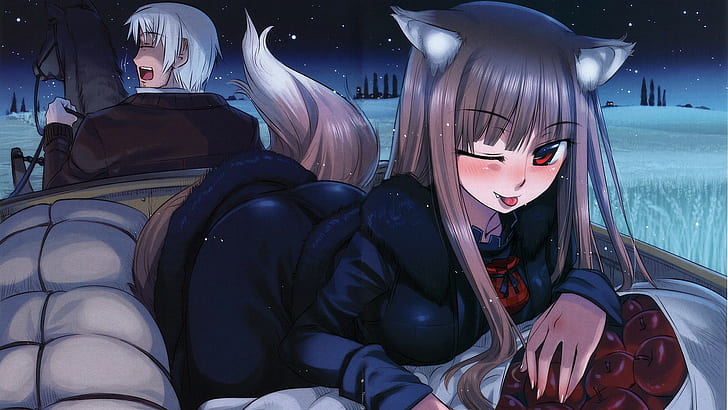 anime anime girls spice and wolf holo lawrence kraft, HD wallpaper