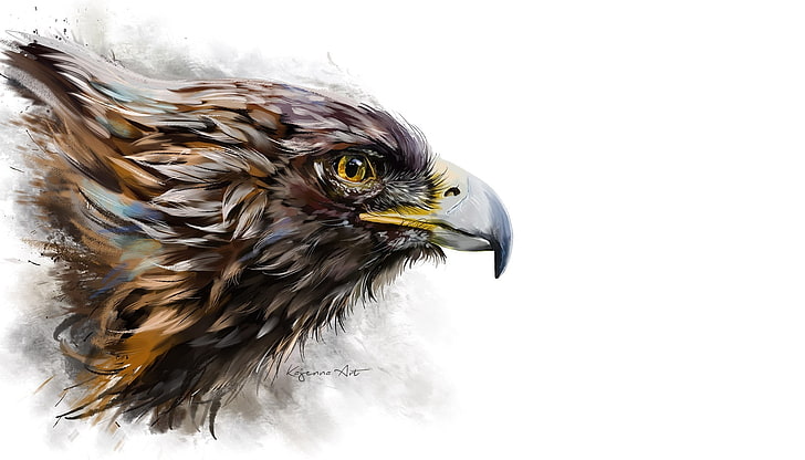 background, bird, eagle, beak, art, profile, HD wallpaper