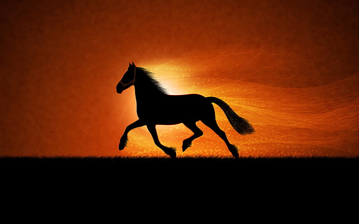 peinture de silhouette de cheval, cheval, figure, Fond d'écran HD