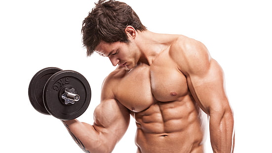 homem segurando barra, halteres, tanquinho, aptidão, bíceps, macho, exercício, 5K, HD papel de parede HD wallpaper