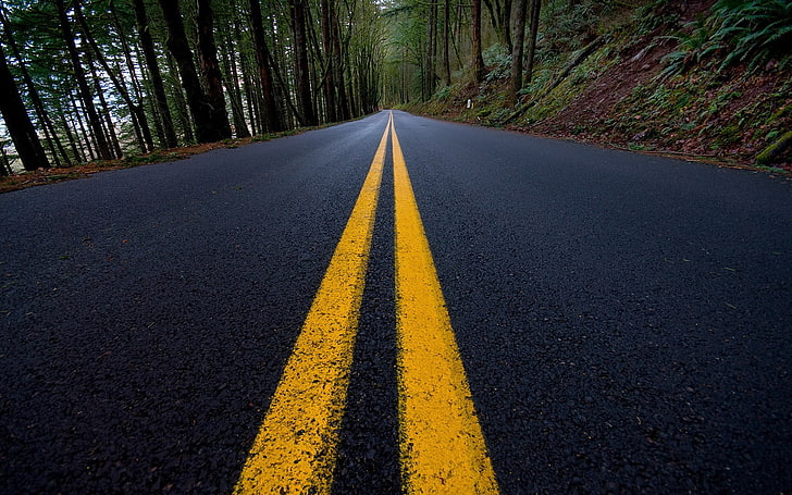 yellow road paint, road, forest, black, yellow, lines, asphalt, HD wallpaper