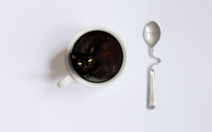white ceramic mug with teaspoon, cat, spoons, cup, animals, HD wallpaper