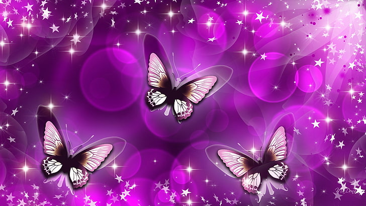 butterfly  download pictures, HD wallpaper