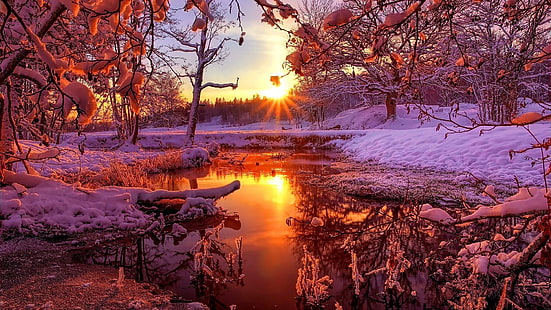일몰, 겨울, 풍경, 일광, 숲, 눈, 나무, 눈, 자연, HD 배경 화면 HD wallpaper