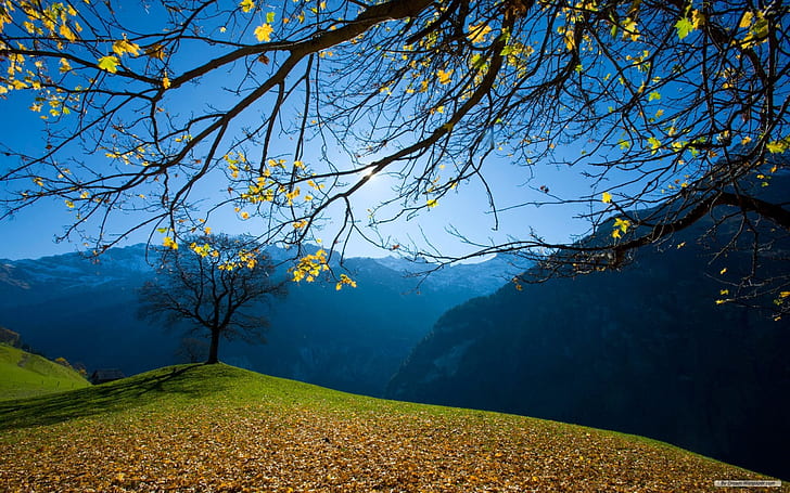 ทิวทัศน์ธรรมชาติวอลล์เปเปอร์ภูเขาที่สวยงาม, วอลล์เปเปอร์ HD