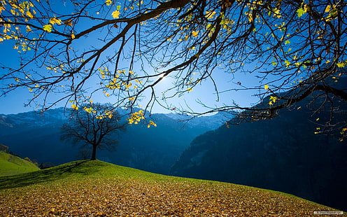 ทิวทัศน์ธรรมชาติวอลล์เปเปอร์ภูเขาที่สวยงาม, วอลล์เปเปอร์ HD HD wallpaper
