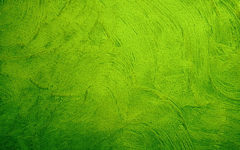 трева, зелено, земя, текстура, ливада, HD тапет HD wallpaper