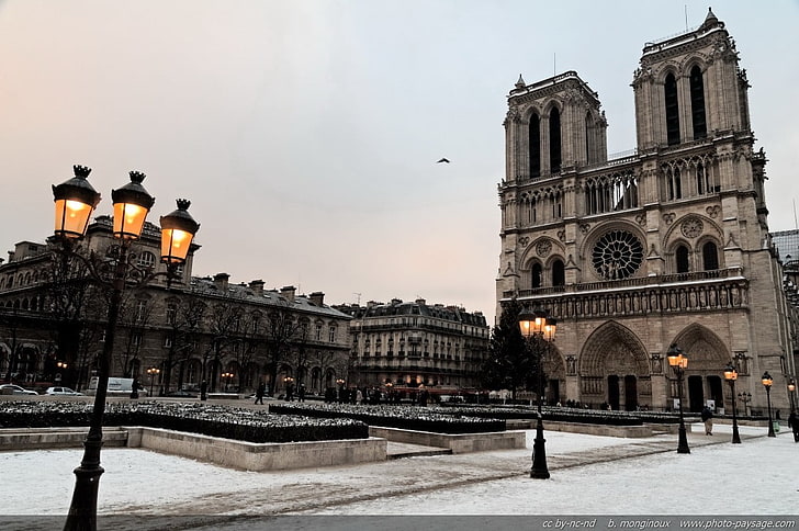 кафяво рисувана катедрала, пейзаж, природа, Нотр Дам, Париж, улично осветление, HD тапет