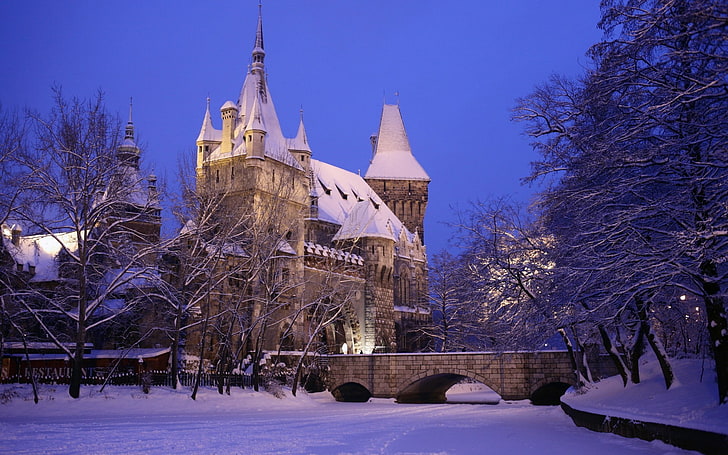 архитектура, Будапешт, Венгрия, старое здание, столица, городской пейзаж, город, замок, башня, зима, снег, деревья, мост, вечер, спокойствие, огни, филиал, HD обои