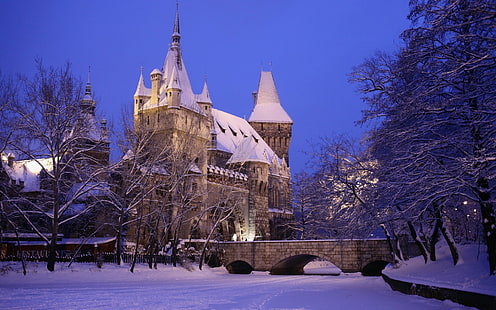 архитектура, Будапеща, Унгария, стара сграда, столица, градски пейзаж, град, замък, кула, зима, сняг, дървета, мост, вечер, спокойствие, светлини, клон, HD тапет HD wallpaper
