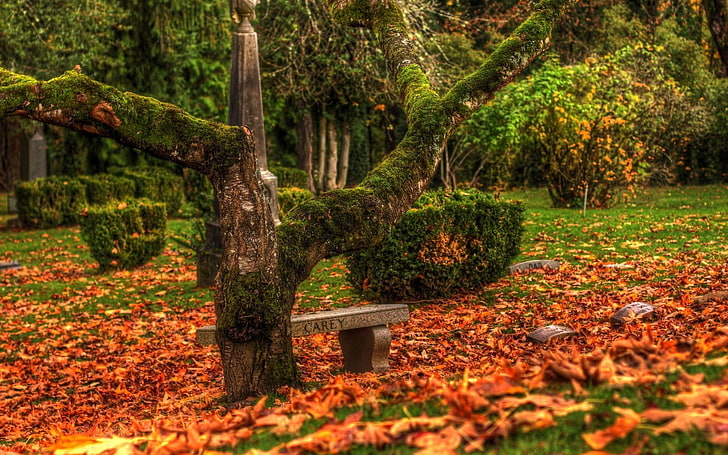 autumn, bench, cemetary, color, dark, emotion, fall, fields, garden, gothic, grass, grave, headstone, landscapes, leaves, mood, nature, park, plants, rock, sad, seasons, sorrow, stone, trees, HD wallpaper