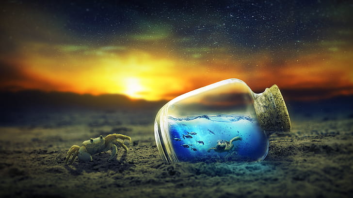Surrealistyczne 4K, zachód słońca, pod wodą, piasek, ryby, krab, butelka, surrealistyczne, Tapety HD