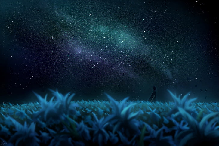 noctis lucis caelum, yıldız, manzara, gökyüzü, anime tarzı, Anime, HD masaüstü duvar kağıdı