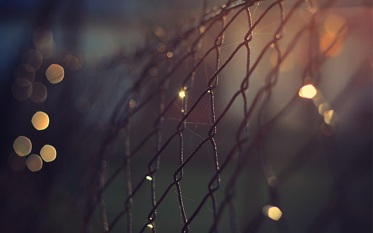 selective focus photography of mesh fence, bokeh, chain-link, fence, depth of field, photography, nature, macro, brown, HD wallpaper