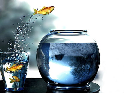 digital art, goldfish, glass, fishbowls, fish, jumping, water drops, water, HD wallpaper HD wallpaper